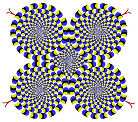 cognitive illusions are similar to visual illusions